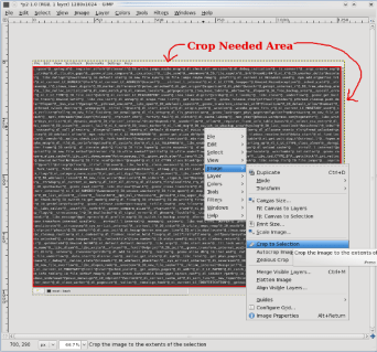 Crop picture and keep only needed area